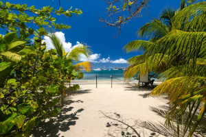 cottages-grenada-beach
